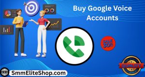 Buy Google Voice Accounts